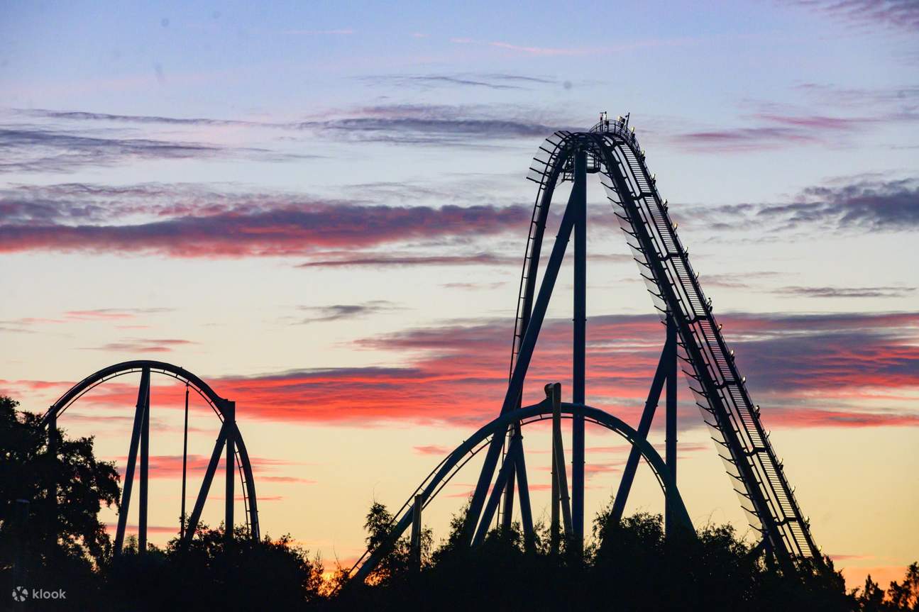 Feel the drop as the top of the roller coaster gives you a magnificent view of SeaWorld Orlando
